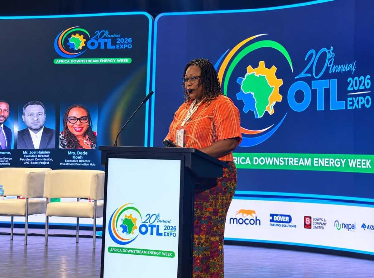 Africa Energy Outlook Calls for Investment in Infrastructure to Strengthen Energy Security